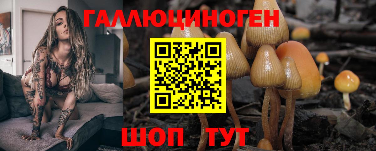 Псилоцибиновые грибы мицелий  Вход с VPN  Елизово 